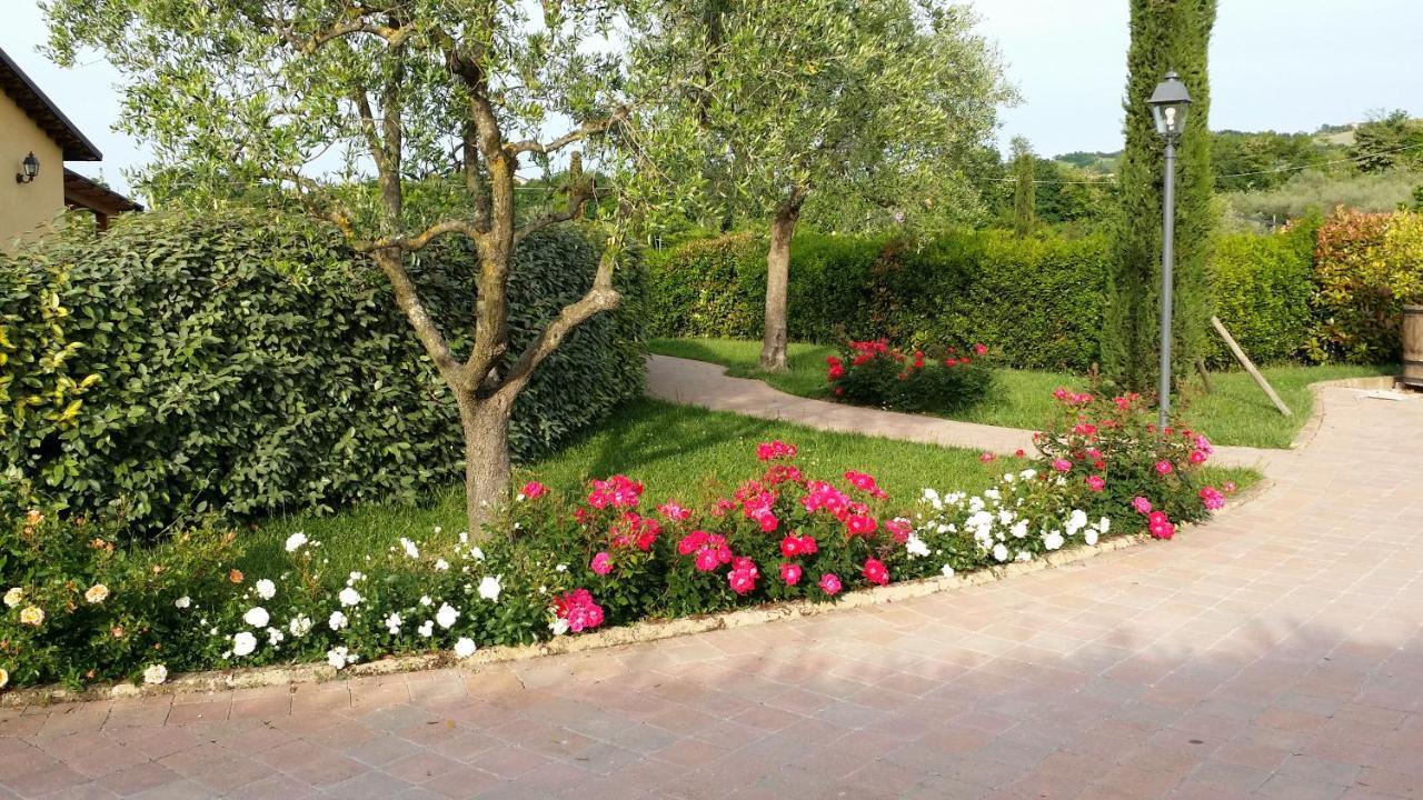 Valle Del Metauro Country House 蒙特玛佐里奥梅特 外观 照片