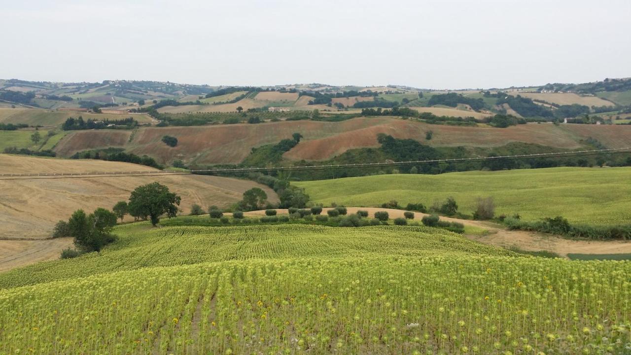 Valle Del Metauro Country House 蒙特玛佐里奥梅特 外观 照片