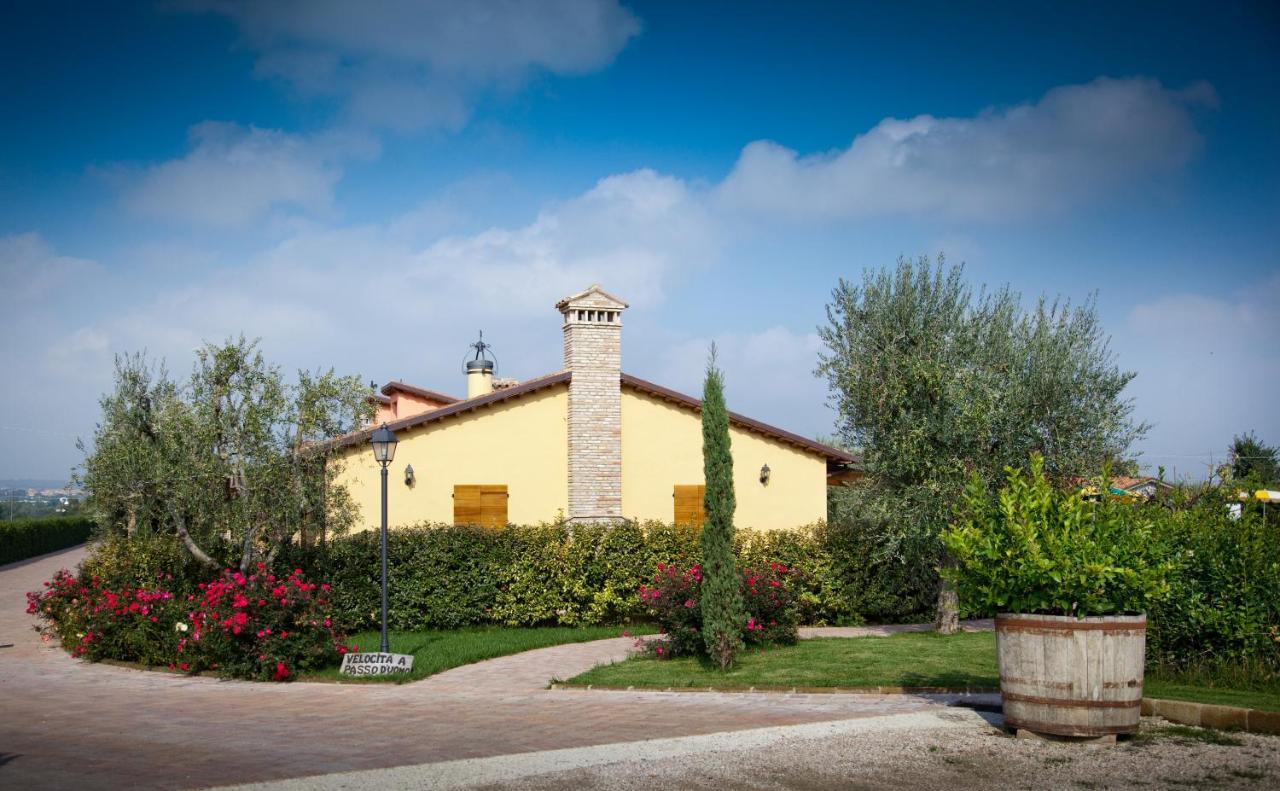 Valle Del Metauro Country House 蒙特玛佐里奥梅特 外观 照片
